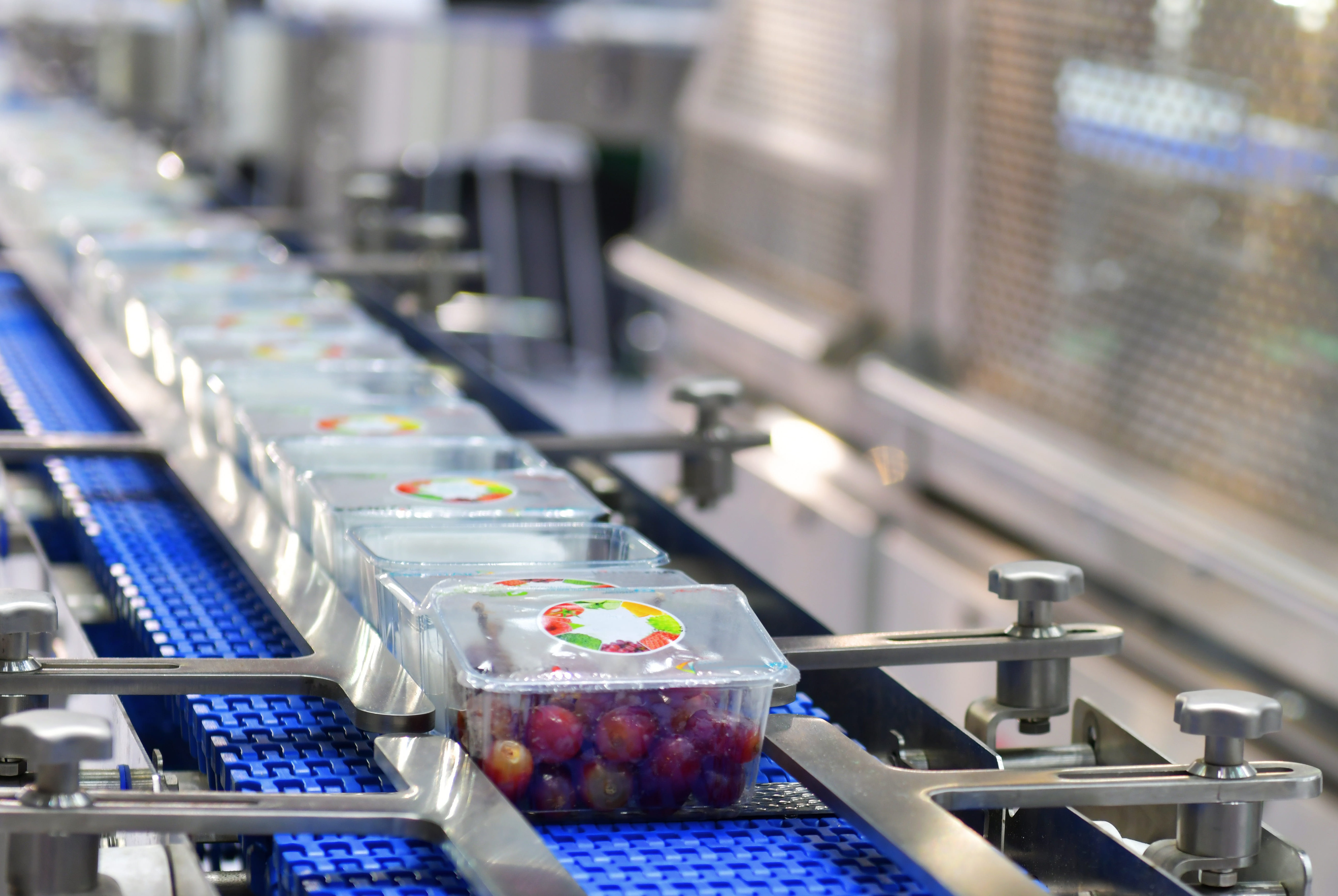 Selezione frutta e verdura Selezione frutta e verdura