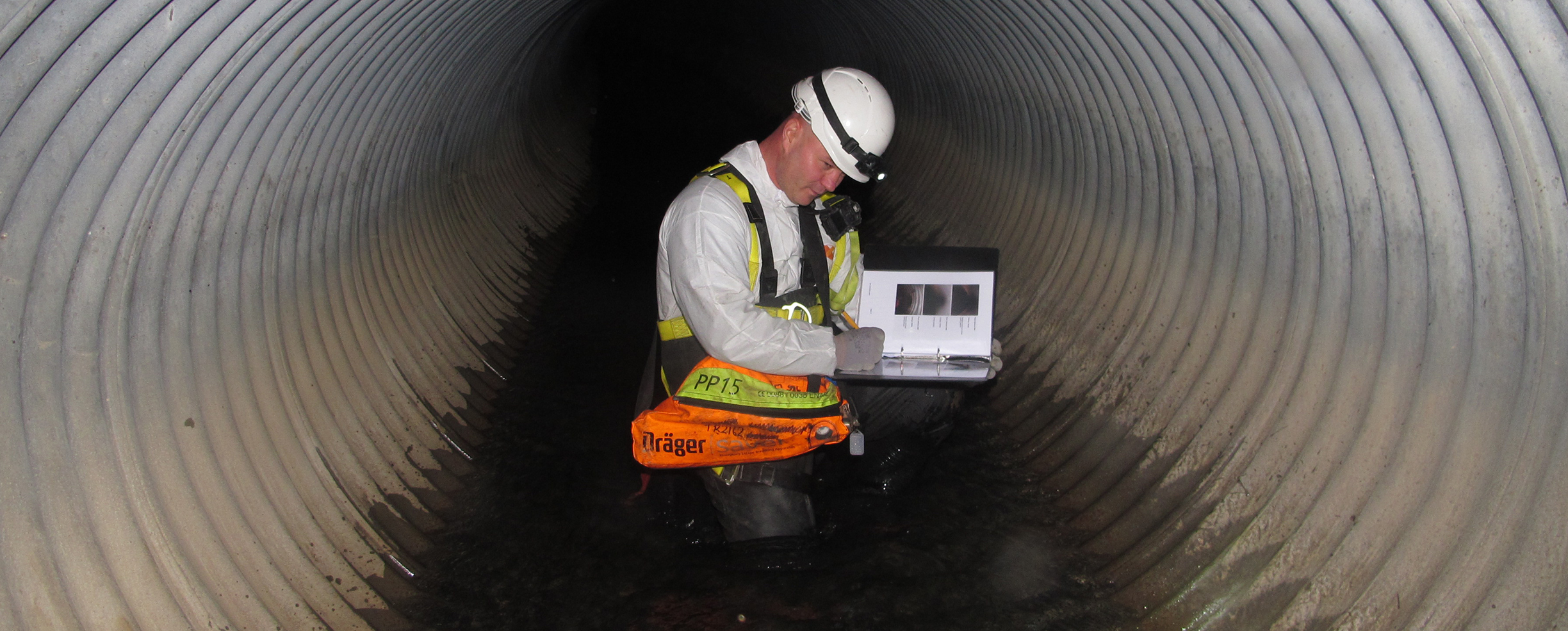 Sfondo Safety Engineering Unibo